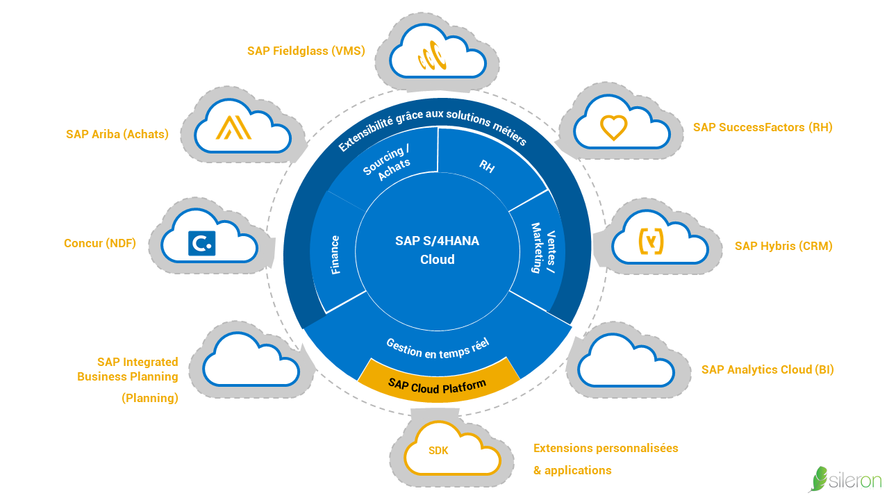 S/4 HANA Cloud socle