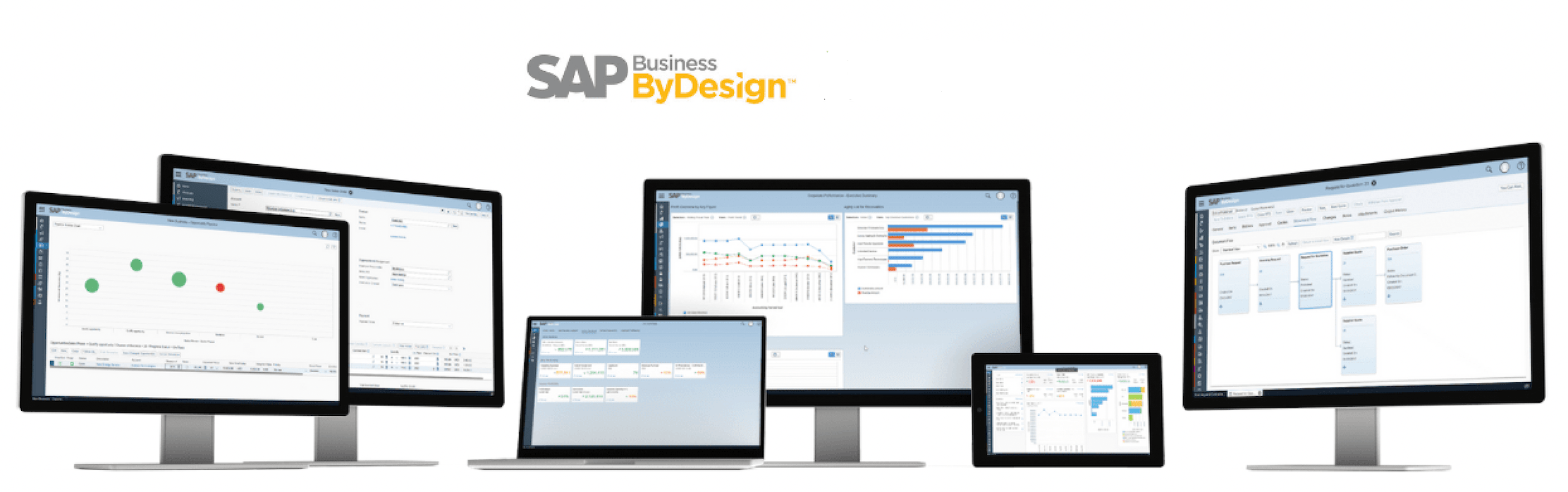 SAP Business ByDesign Sileron saas