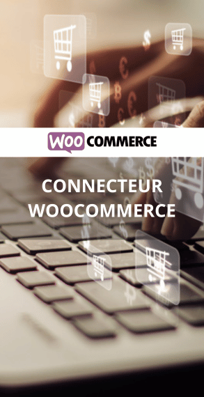 CONNETTORE WOOCOMMERCE