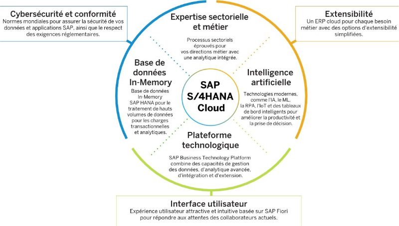 shema-sap-cloud