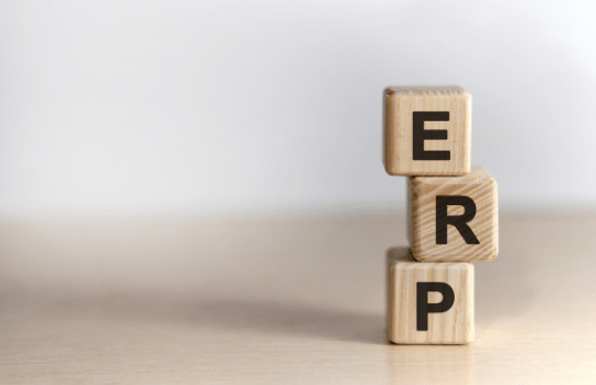 Learn what are ERPs and what are their main differentiations