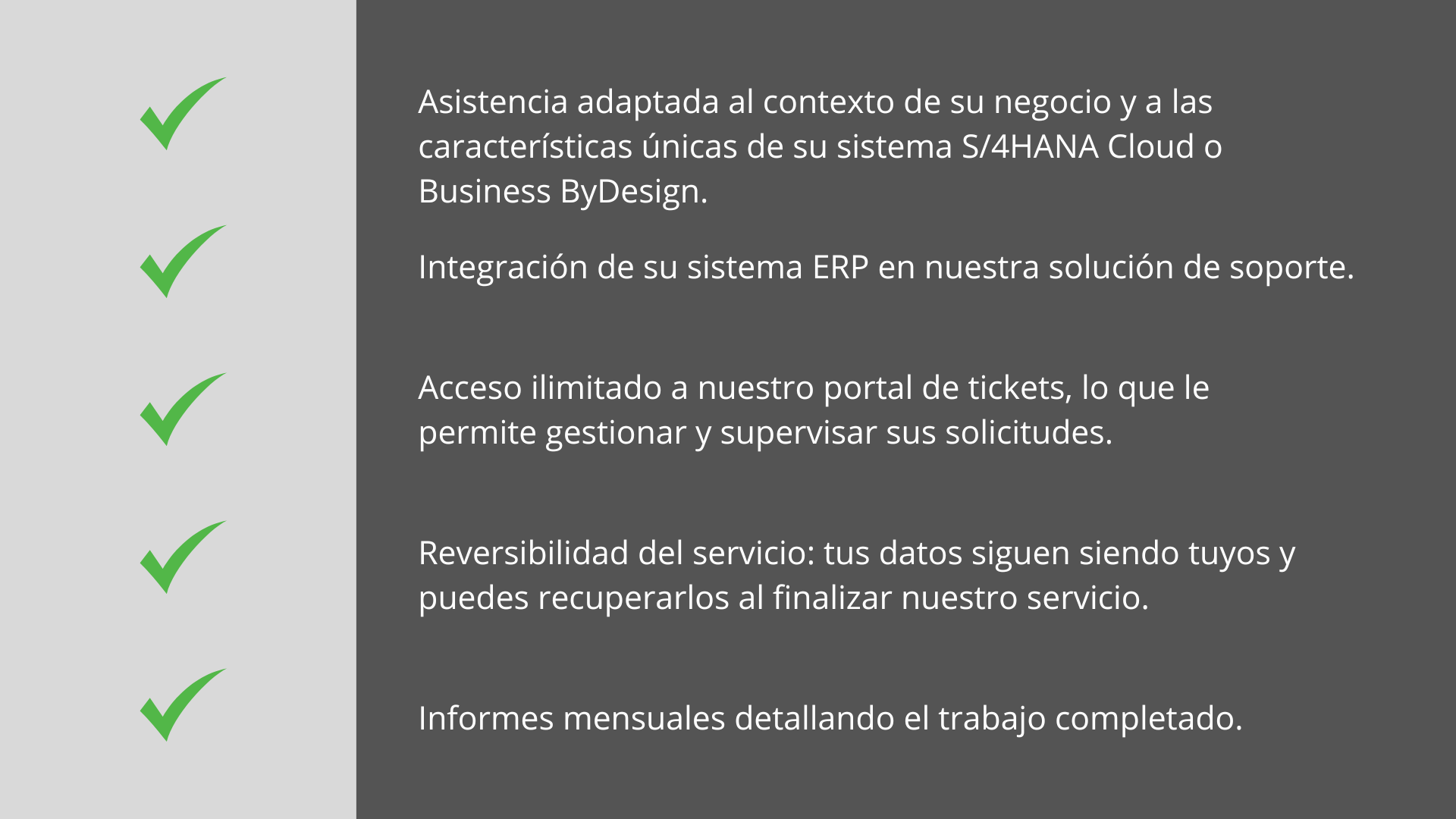 soporte y mantenimiento SAP