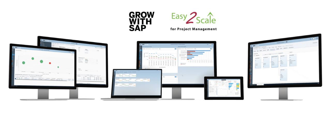 L ERP Project Management SAP Easy2Scale pour piloter vos projets