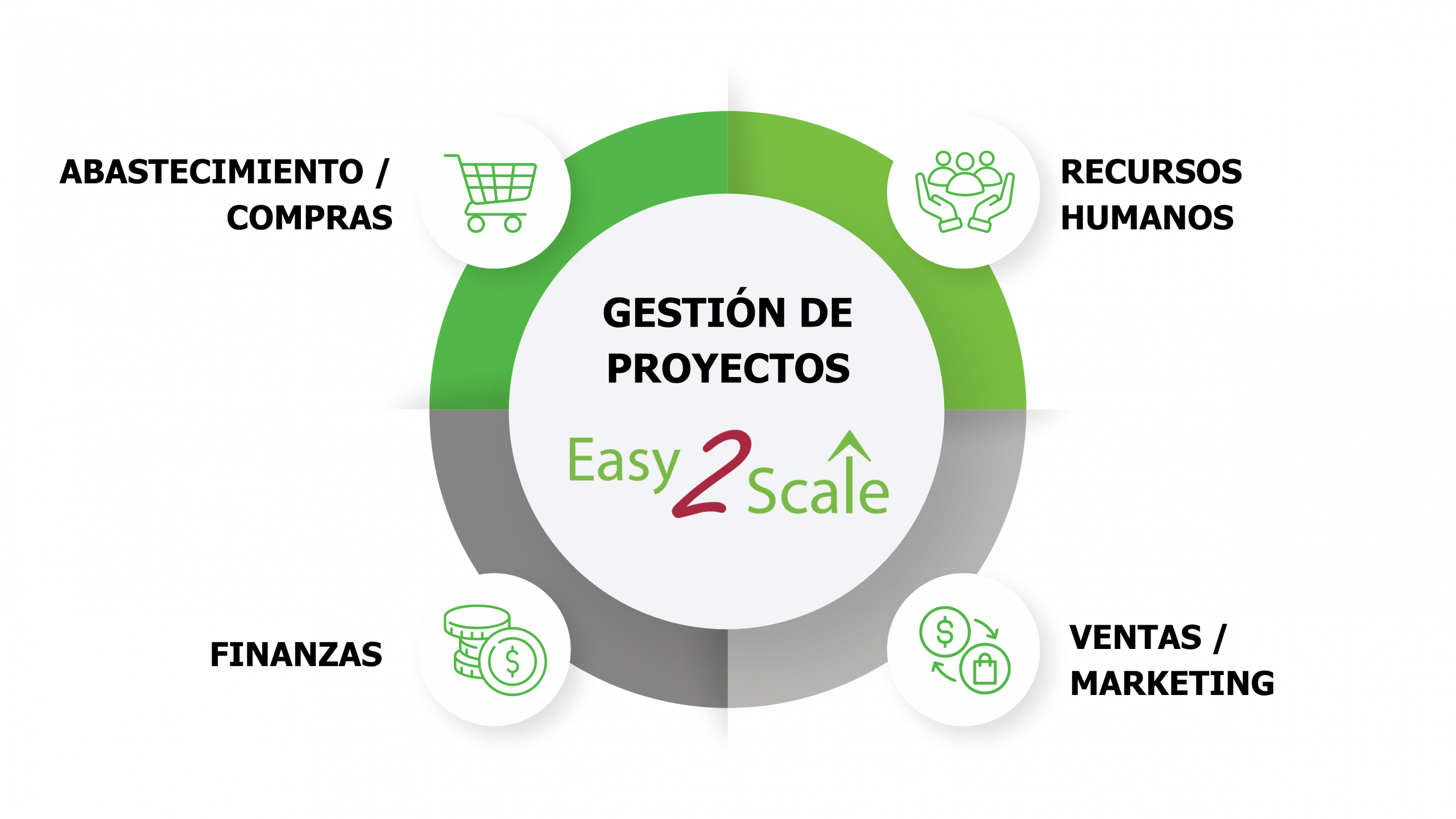 Easy2Scale for Project Management esquema
